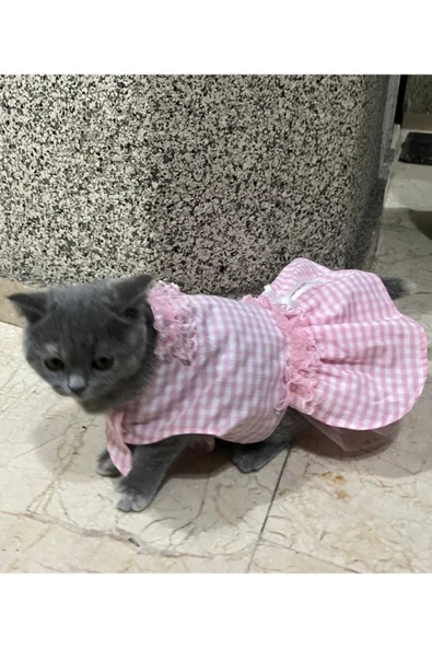 Gobo Pembe Beyaz Kareli Kurdeleli Güpürlü Kedi Köpek Kıyafeti Elbisesi Medium/M/Beden 2 - 2