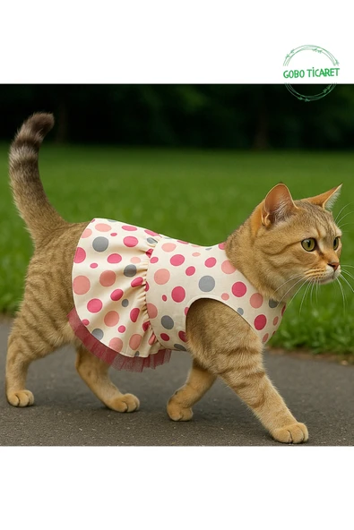 Gobo Şirin Puantiyeli Beyaz Kedi Köpek Kıyafeti Elbisesi Fuşya Fiyonklu SMALL/S/Beden 1 - Resim 3