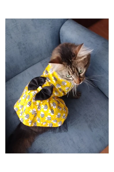 Gobo Arı Desenli Sarı Kedi Köpek Kıyafeti Elbisesi - Resim 5