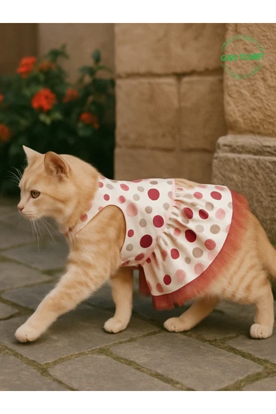 Gobo Şirin Puantiyeli Beyaz Kedi Köpek Kıyafeti Elbisesi Fuşya Fiyonklu SMALL/S/Beden 1 - Resim 4