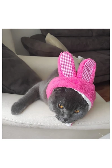 Gobo Peluş Tavşan Kulaklı Pembe Kedi Köpek Şapkası Yumuşacık Kedi Köpek Kıyafeti - Resim 2
