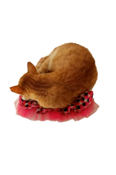 Gobo Siyah Fiyonklu Pembe Kedi ve Köpek Kıyafeti Elbisesi Medium/M/beden 2