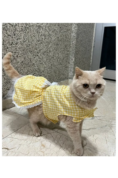 Gobo Sarı Beyaz Kareli Fiyonklu Kedi Köpek Kıyafeti Elbisesi XSmall/XS/Beden 0 ürün görseli 1
