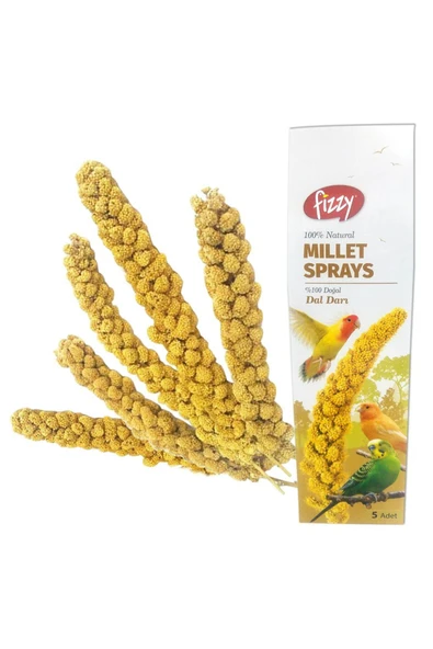 Fizzy Doğal Dal Darı