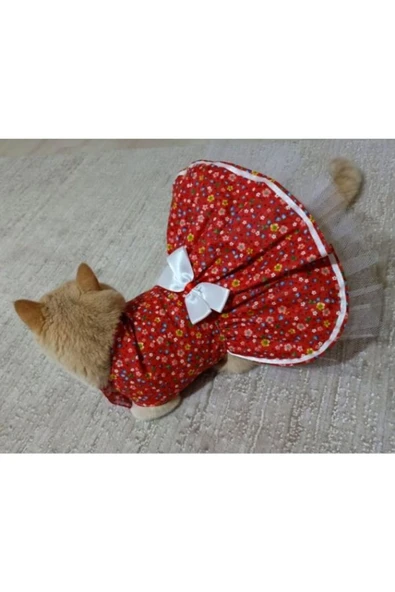 Gobo Rengarenk Çiçekli Kurdeleli Kedi ve Köpek Kıyafeti Elbisesi Large/L/beden 3 - Resim 2