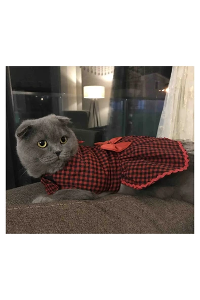 Gobo Kırmızı Siyah Kareli Papyonlu Dişi Kedi Köpek Kıyafeti Elbisesi - Resim 4