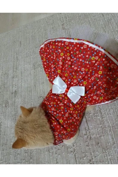 Gobo Rengarenk Çiçekli Kurdeleli Kedi ve Köpek Kıyafeti Elbisesi Medium/m/beden 2 - Resim 3