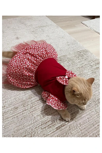 Gobo Çiçek Desenli Papyonlu Kırmızı Kedi Köpek Kıyafeti Elbisesi - Resim 5