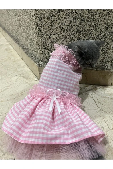 Gobo Pembe Beyaz Kareli Kurdeleli Kedi Köpek Kıyafeti Elbisesi - Resim 3