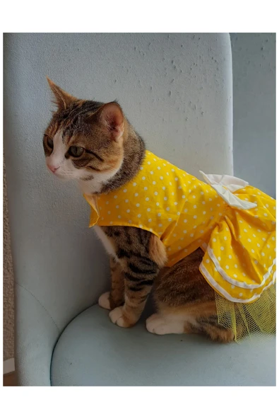 Gobo Sarı Puantiyeli Beyaz Papyonlu Kedi Köpek Kıyafeti Elbisesi Small/s/beden 1 - 1
