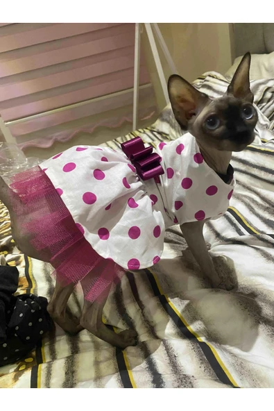 Gobo Fuşya Fiyonklu Puantiyeli Kedi Köpek Kıyafeti Elbisesi XLarge/XL/Beden 4 - Resim 3