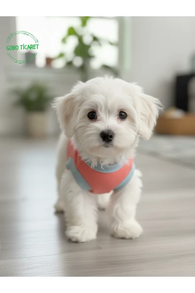 Gobo Yumuşacık Şeker Pembe Kedi ve Köpek Kıyafeti Elbisesi Farklı Modeller - XS, S, M, L Beden - 7
