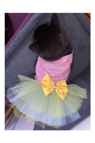 Gobo Renkli Puantiyeli Sarı Papyonlu Pembe Dişi Kedi Köpek Kıyafeti Elbisesi Medium/M/Beden 2 - 1