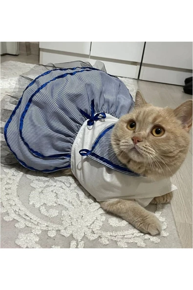 Gobo Denizci Mavi Kurdeleli Dişi Kedi Köpek Kıyafeti Elbisesi Medium/m/beden 2 ürün görseli 1