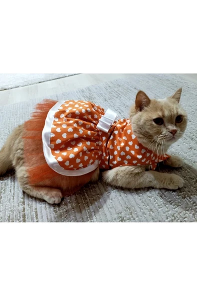 Gobo Beyaz Kalp Desenli Fiyonklu Turuncu Kedi Köpek Kıyafeti Elbisesi - Resim 2