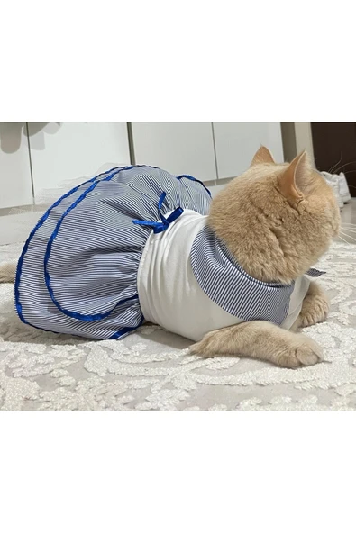 Gobo Denizci Mavi Yakalı Kurdeleli Dişi Kedi Köpek Kıyafeti Elbisesi XLarge/XL/Beden 4 - Resim 3