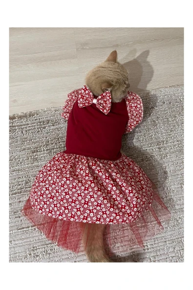 Gobo Çiçek Desenli Papyonlu Kırmızı Kedi Kıyafeti Elbisesi Medium/m/beden 2 - Resim 6