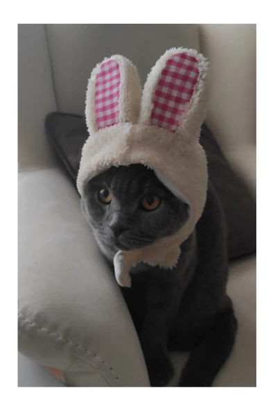 Gobo Peluş Tavşan Kulaklı Sütlü Kahve Kedi Köpek Şapkası Yumuşacık Kedi Köpek Kıyafeti