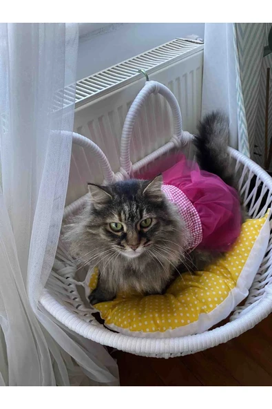 Gobo Pembe Kareli Kalpli Tüllü Kedi Köpek Kıyafeti Elbisesi S/SMALL/Beden 1 - Resim 2