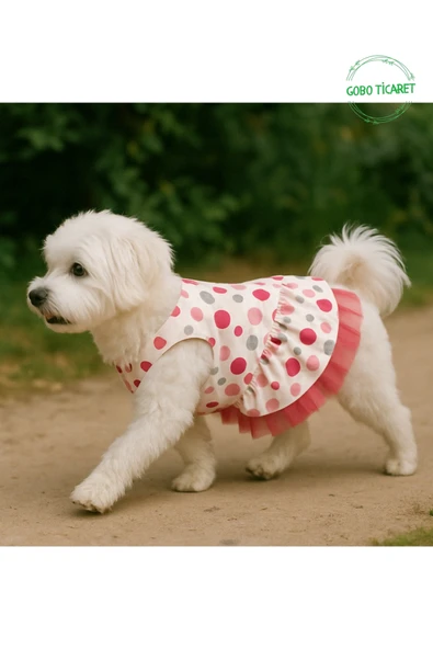 Gobo Şirin Puantiyeli Beyaz Kedi Köpek Kıyafeti Elbisesi Fuşya Fiyonklu XSmall/XS/Beden 0 - Resim 2