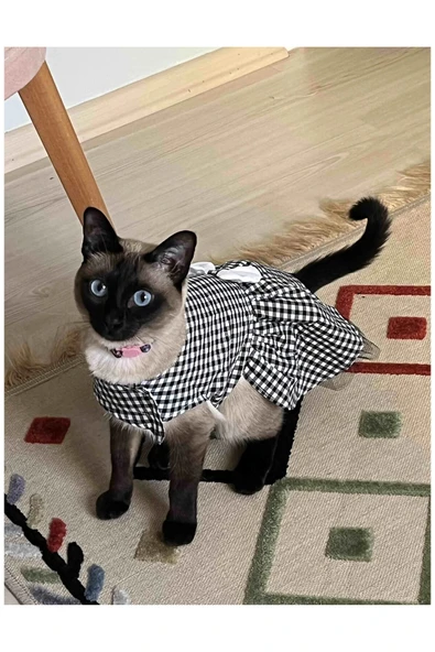 Gobo Beyaz Siyah Kareli Dişi Kedi Köpek Kıyafeti Elbisesi XLarge/XL/Beden 4 - Resim 4