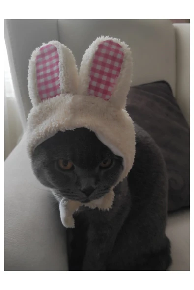 Gobo Peluş Tavşan Kulaklı Sütlü Kahve Kedi Köpek Şapkası Yumuşacık Kedi Köpek Kıyafeti - 2