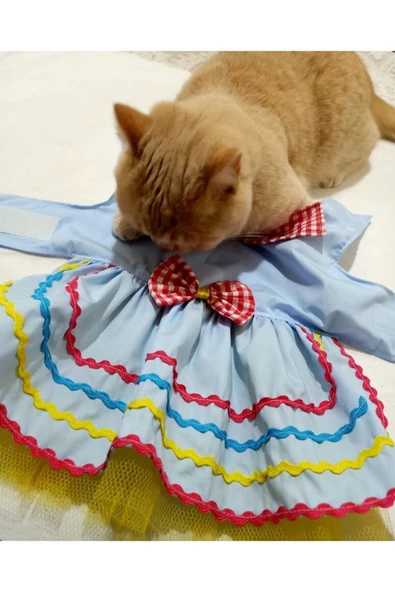 Gobo Rengarenk Festival Temalı Papyonlu Tüllü Kedi Köpek Kıyafeti Elbisesi Xsmall/xs/beden 0 - Resim 4