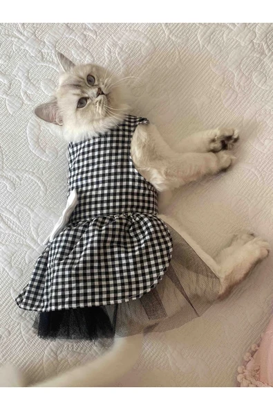 Gobo Beyaz Siyah Kareli Dişi Kedi Köpek Kıyafeti Elbisesi ürün görseli