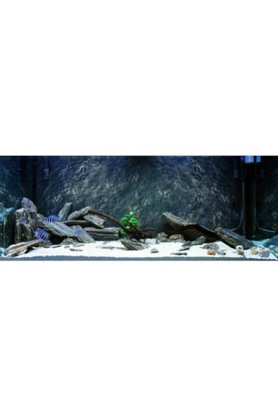 10 Kg Gnays Kaya Orijinal 1.kalite Doğal Dekoratif Simli Gnays - 3