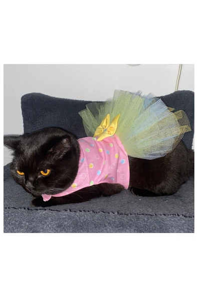 Gobo Renkli Puantiyeli Sarı Papyonlu Pembe Dişi Kedi Köpek Kıyafeti Elbisesi XSmall/XS/Beden 0 - Resim 2