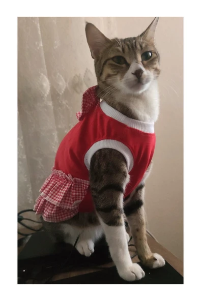 Gobo Kırmızı Beyaz Papyonlu Dişi Kedi Köpek Kıyafeti Elbisesi Medium/m/beden 2 ürün görseli 1