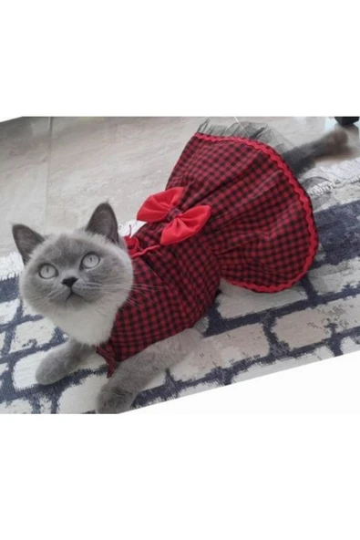 Gobo Kırmızı Siyah Kareli Kırmızı Papyonlu Dişi Kedi Köpek Kıyafeti Elbisesi Large/l/beden 3. ürün görseli 1
