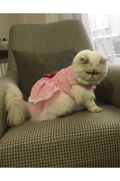 Gobo Beyaz Kareli Pembe Dişi Kedi Köpek Kıyafeti Elbisesi Small/s/beden 1 - Resim 6