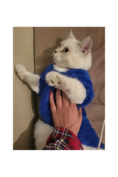 Gobo Welsoft Kışlık Lastikli Mavi Kedi Köpek Kıyafeti Elbisesi xlarge/xl/beden 4 - Resim 2