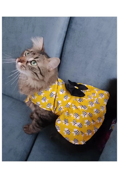 Gobo Arı Desenli Sarı Kedi Köpek Kıyafeti Elbisesi Medium/m/beden 2 - Resim 4