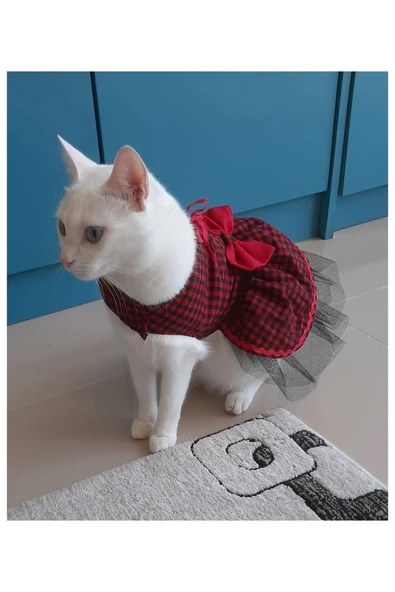 Gobo Kırmızı Siyah Kareli Kırmızı Papyonlu Dişi Kedi Köpek Kıyafeti Elbisesi Small/s/beden 1 - Resim 6