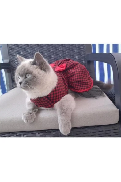 Gobo Kırmızı Siyah Kareli Kırmızı Papyonlu Dişi Kedi Köpek Kıyafeti Elbisesi Medium/m/beden 2 ürün görseli 1