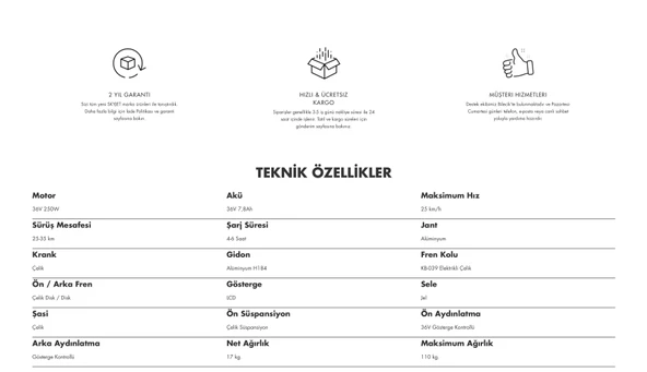 Skyjet Nitro 16 250 W Siyah Katlanabilir Elektrikli Bisiklet - Resim 2