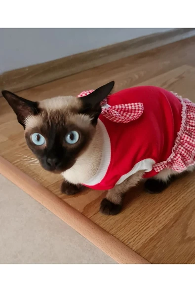 Gobo Kırmızı Beyaz Papyonlu Dişi Kedi Köpek Kıyafeti Elbisesi Large/l/beden 3 - Resim 2