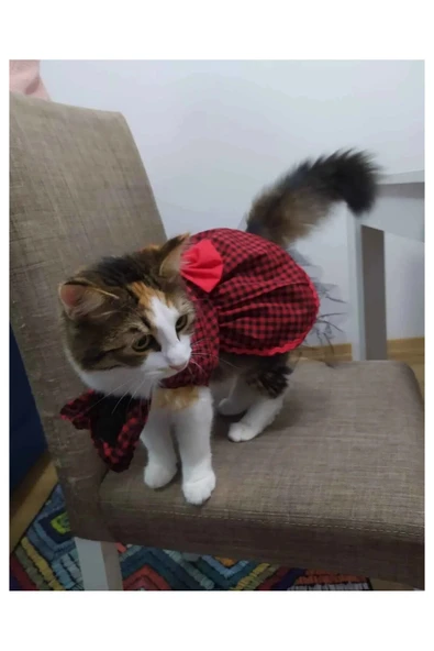 Gobo Kırmızı Siyah Kareli Kırmızı Papyonlu Dişi Kedi Köpek Kıyafeti Elbisesi Medium/m/beden 2 - Resim 3