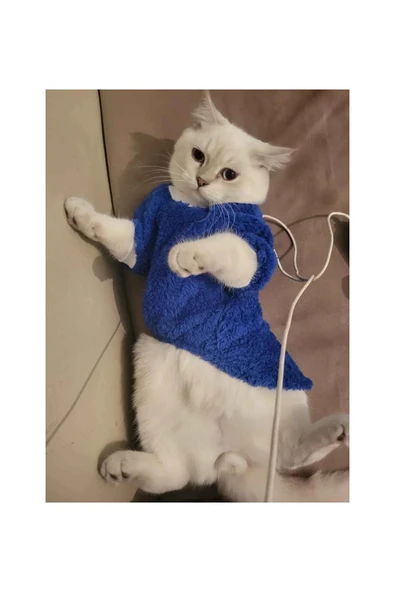 Gobo Welsoft Kışlık Lastikli Mavi Kedi Köpek Kıyafeti Elbisesi xlarge/xl/beden 4 ürün görseli 1