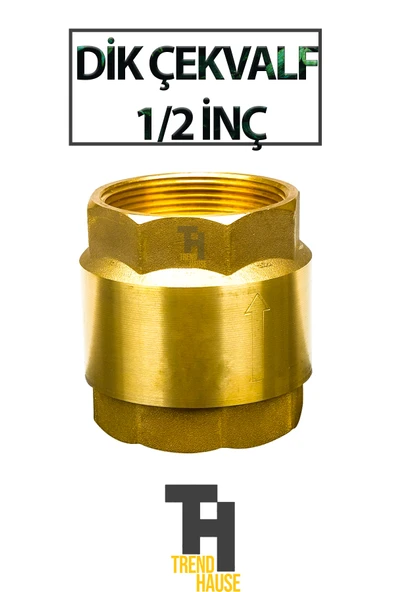 DİK ÇEKVALF 1/2 İNÇ ürün görseli 1