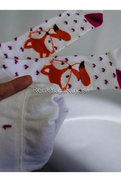 RENKYAPI P Plus Prolıne 500 Gr Tuvalet Lavobo Wc Ve Tıkanıklık Acıcı Yakıcı Ve Sıvı Kolzet Temızleyıcı - 4