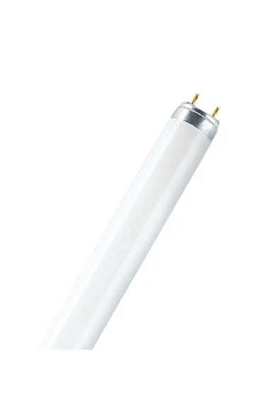 Philips 13w/3000k T 5 Floresan Lamba Sarı Made In Polland Floresan 4'lü Paket C30 ürün görseli 1