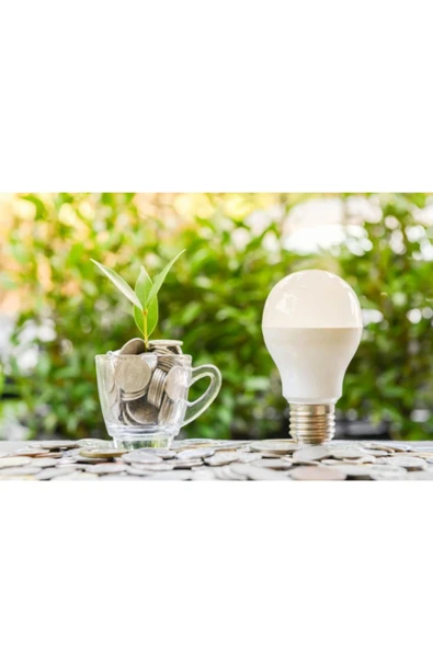 Philips Mycare LED Lamba 13W - 100W 2700K Sarı  Işık  1521 Lümen Yüksek Işık  ( 12 ADET  ) - Resim 4