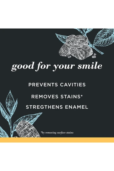 Charcoal Fluoride, Karbon ve Florürlü Diş Macunu, Mountain Mint, 105 ml - Resim 5