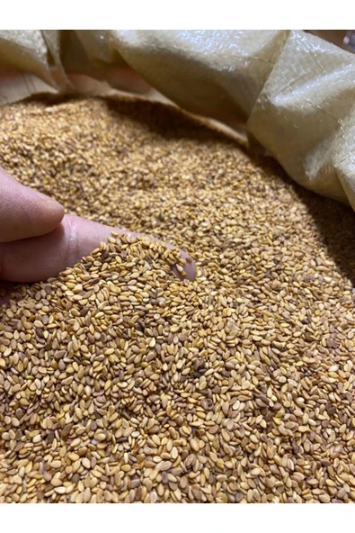 SUSAM (KÜNCÜ) 250 GR - 3
