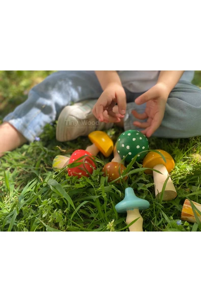 Doğal Ahşap Mantar Oyuncak Seti 6 lı Eğitsel Oyuncak - Resim 4