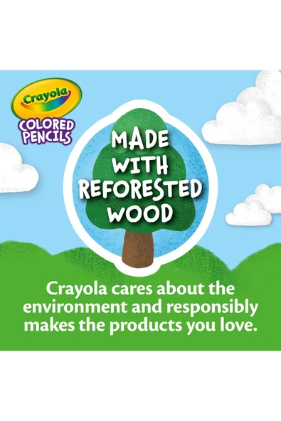 24 Colourful Pencils- Amerikan-Nontoxic- 24 Renk Kuru Boya Seti- Kalemtıraş hediyeli - Resim 5