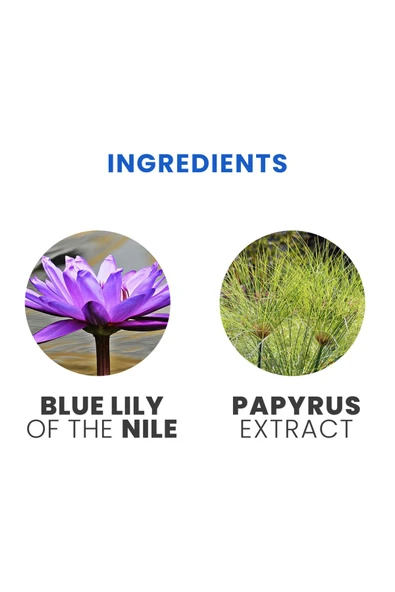 Aegyptus EDP- İtalyan Parfüm- Antik Mısır serisi - 100 ml - Resim 6